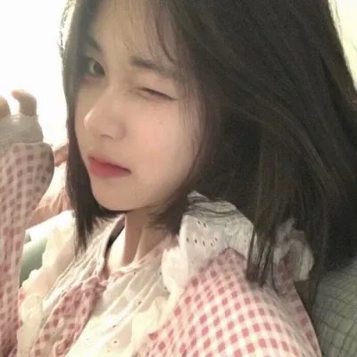 冬森林的秘密